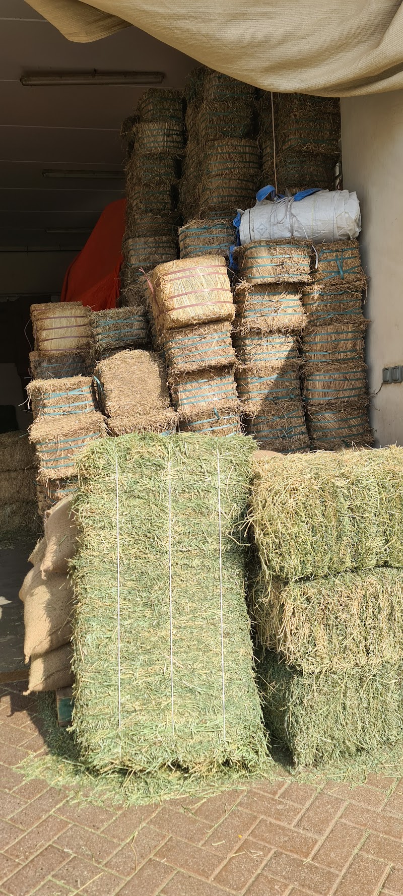 تصویر شماره 3